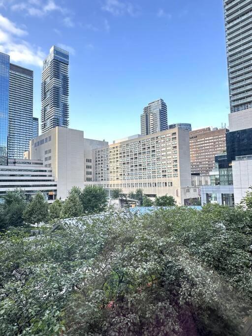 Best Location In Downtown- Walking To Eaton Centre, Nathan Phillips Square, Yonge-Dundas, Ikea,Transit Toronto Luaran gambar